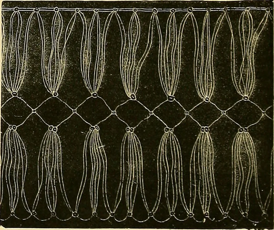 An illustration from The dictionary of needlework : an encyclopædia of artistic, plain, and fancy needlework ..., 1882, leaf 82