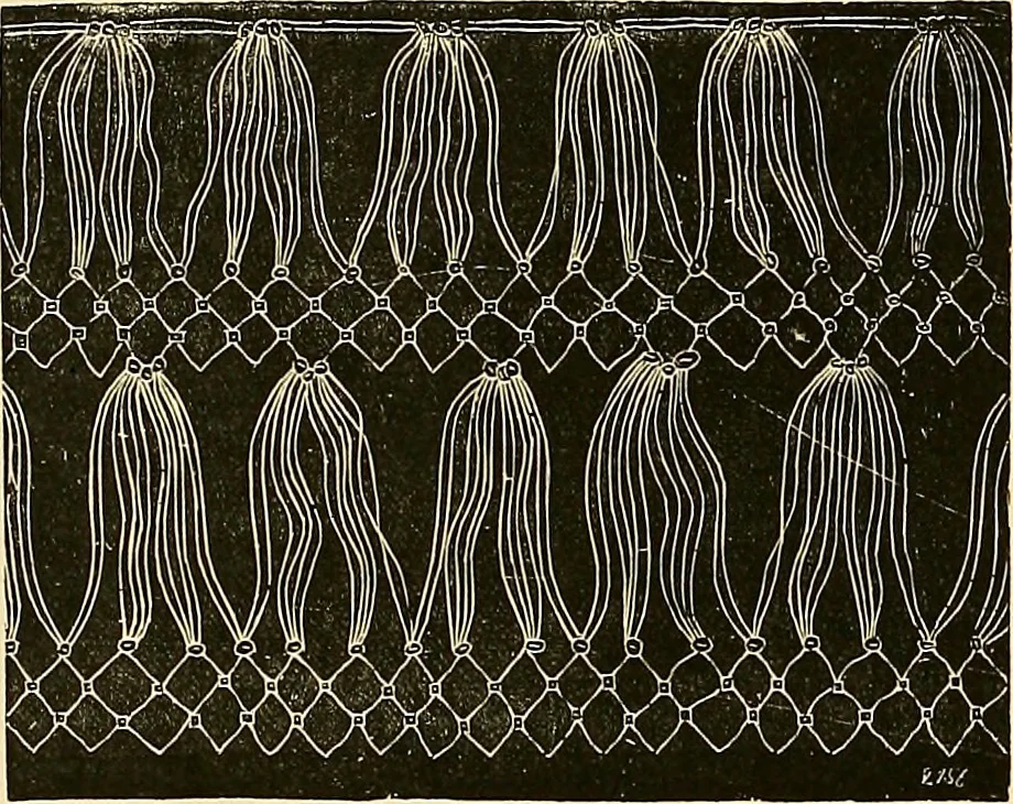 An illustration from The dictionary of needlework : an encyclopædia of artistic, plain, and fancy needlework ..., 1882, leaf 83