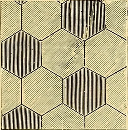 An illustration from The dictionary of needlework : an encyclopædia of artistic, plain, and fancy needlework ..., 1882, leaf 98