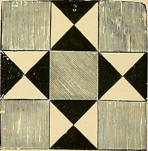 An illustration from The dictionary of needlework : an encyclopædia of artistic, plain, and fancy needlework ..., 1882, leaf 99