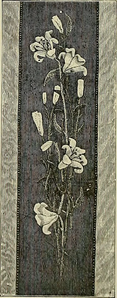 An illustration from The dictionary of needlework : an encyclopædia of artistic, plain, and fancy needlework ..., 1882, leaf 111