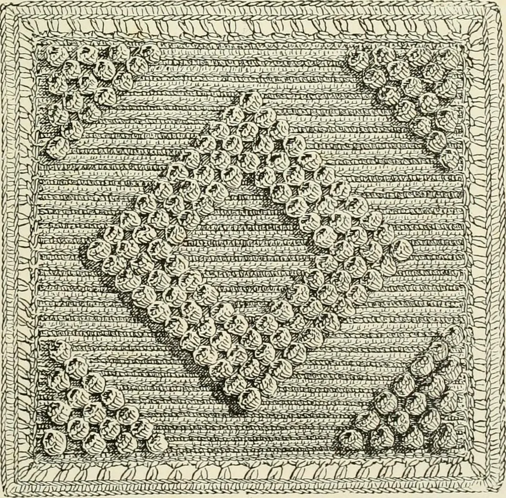 An illustration from The dictionary of needlework : an encyclopædia of artistic, plain, and fancy needlework ..., 1882, leaf 126