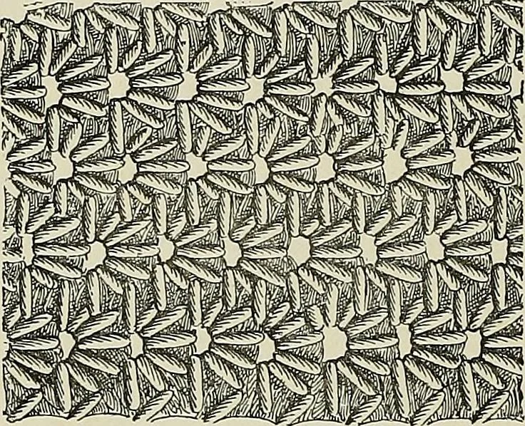 An illustration from The dictionary of needlework : an encyclopædia of artistic, plain, and fancy needlework ..., 1882, leaf 135