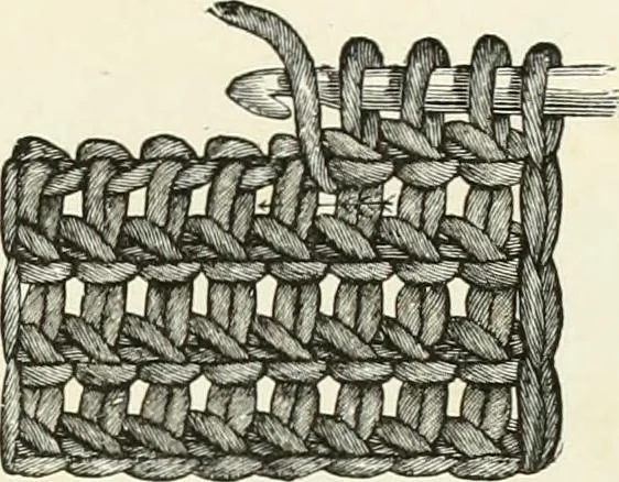 An illustration from The dictionary of needlework : an encyclopædia of artistic, plain, and fancy needlework ..., 1882, leaf 140