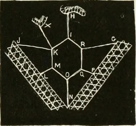 An illustration from The dictionary of needlework : an encyclopædia of artistic, plain, and fancy needlework ..., 1882, leaf 150