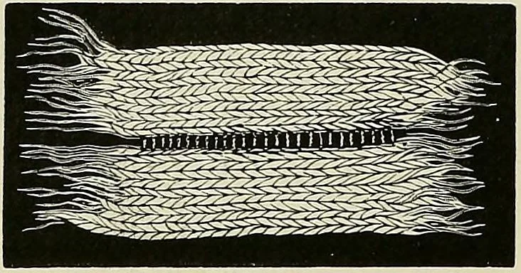An illustration from The dictionary of needlework : an encyclopædia of artistic, plain, and fancy needlework ..., 1882, leaf 155