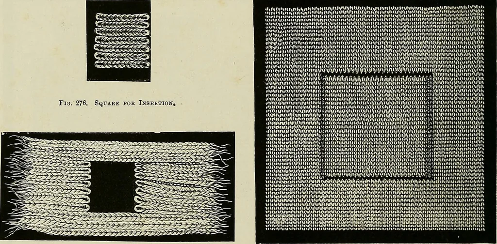 An illustration from The dictionary of needlework : an encyclopædia of artistic, plain, and fancy needlework ..., 1882, leaf 155