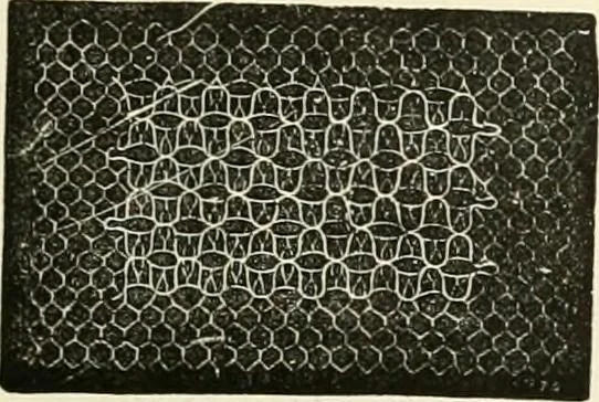 An illustration from The dictionary of needlework : an encyclopædia of artistic, plain, and fancy needlework ..., 1882, leaf 160