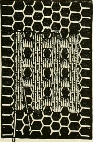 An illustration from The dictionary of needlework : an encyclopædia of artistic, plain, and fancy needlework ..., 1882, leaf 160