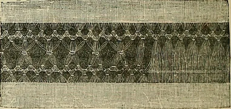 An illustration from The dictionary of needlework : an encyclopædia of artistic, plain, and fancy needlework ..., 1882, leaf 171