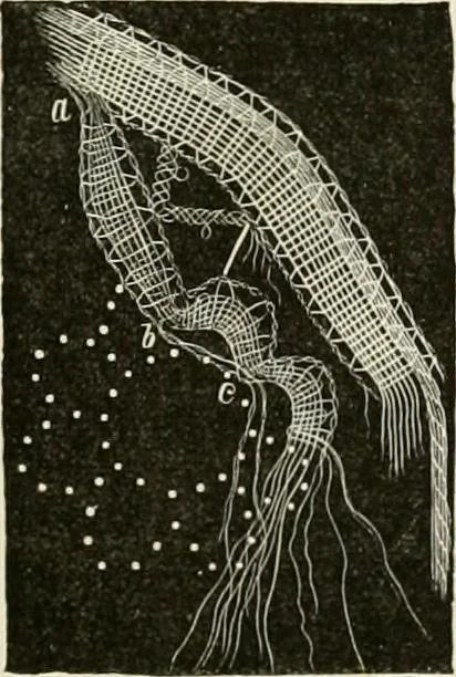 An illustration from The dictionary of needlework : an encyclopædia of artistic, plain, and fancy needlework ..., 1882, leaf 178