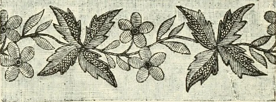 An illustration from The dictionary of needlework : an encyclopædia of artistic, plain, and fancy needlework ..., 1882, leaf 184