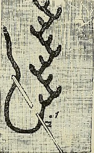 An illustration from The dictionary of needlework : an encyclopædia of artistic, plain, and fancy needlework ..., 1882, leaf 191