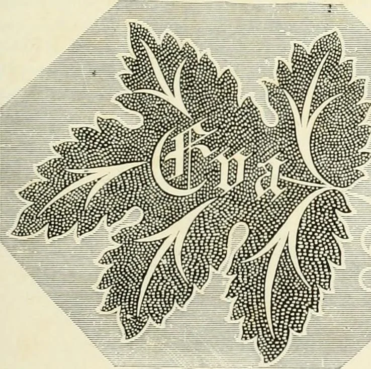 An illustration from The dictionary of needlework : an encyclopædia of artistic, plain, and fancy needlework ..., 1882, leaf 192