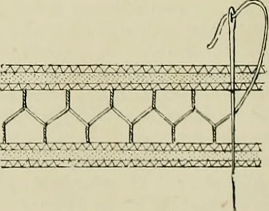An illustration from The dictionary of needlework : an encyclopædia of artistic, plain, and fancy needlework ..., 1882, leaf 193