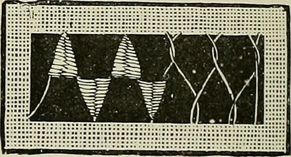 An illustration from The dictionary of needlework : an encyclopædia of artistic, plain, and fancy needlework ..., 1882, leaf 201
