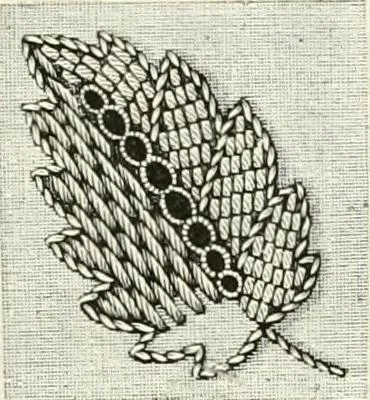 An illustration from The dictionary of needlework : an encyclopædia of artistic, plain, and fancy needlework ..., 1882, leaf 204