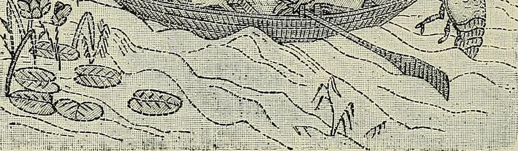 An illustration from The dictionary of needlework : an encyclopædia of artistic, plain, and fancy needlework ..., 1882, leaf 211