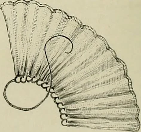 An illustration from The dictionary of needlework : an encyclopædia of artistic, plain, and fancy needlework ..., 1882, leaf 227
