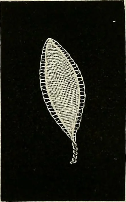 An illustration from The dictionary of needlework : an encyclopædia of artistic, plain, and fancy needlework ..., 1882, leaf 233