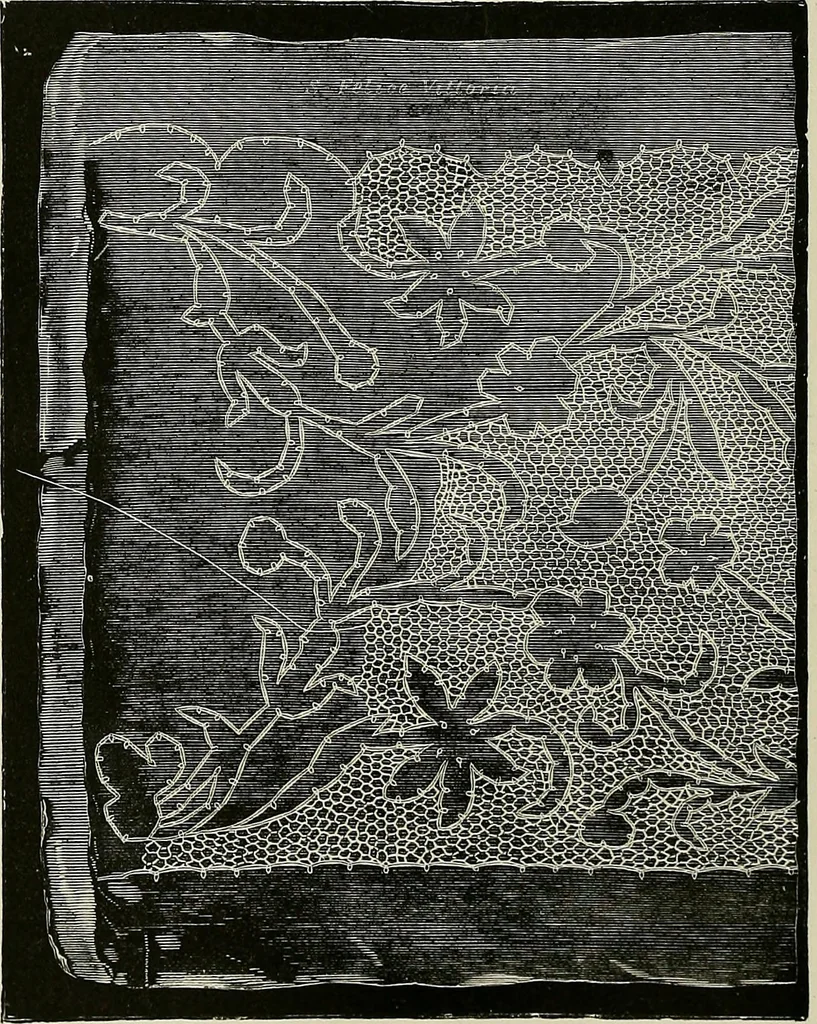 An illustration from The dictionary of needlework : an encyclopædia of artistic, plain, and fancy needlework ..., 1882, leaf 243