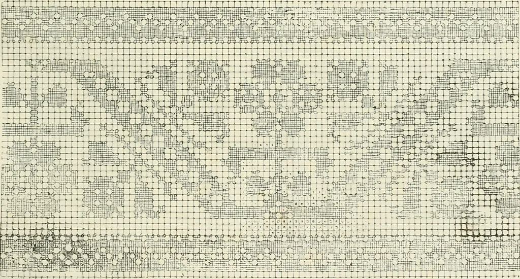 An illustration from The dictionary of needlework : an encyclopædia of artistic, plain, and fancy needlework ..., 1882, leaf 244