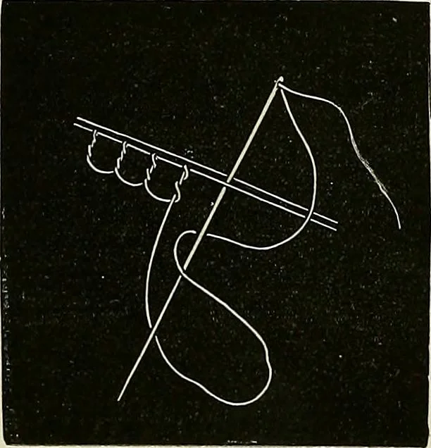 An illustration from The dictionary of needlework : an encyclopædia of artistic, plain, and fancy needlework ..., 1882, leaf 267