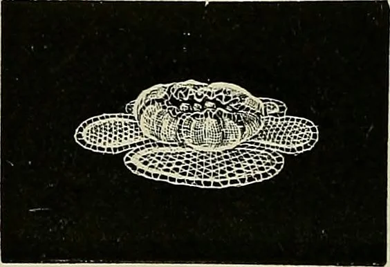 An illustration from The dictionary of needlework : an encyclopædia of artistic, plain, and fancy needlework ..., 1882, leaf 271