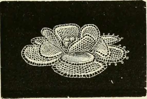 An illustration from The dictionary of needlework : an encyclopædia of artistic, plain, and fancy needlework ..., 1882, leaf 272