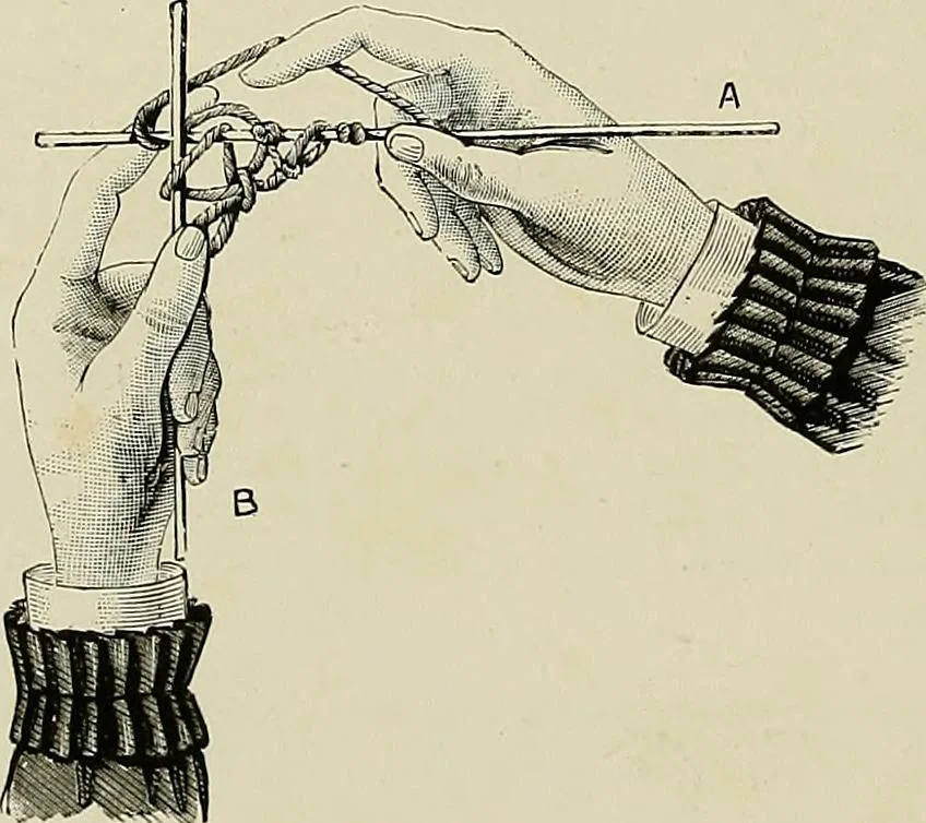 An illustration from The dictionary of needlework : an encyclopædia of artistic, plain, and fancy needlework ..., 1882, leaf 295