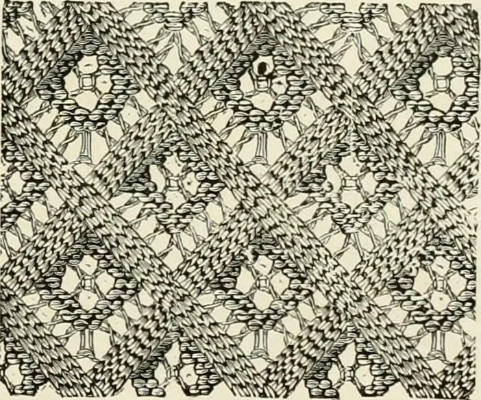 An illustration from The dictionary of needlework : an encyclopædia of artistic, plain, and fancy needlework ..., 1882, leaf 304