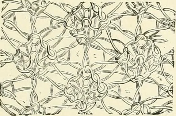 An illustration from The dictionary of needlework : an encyclopædia of artistic, plain, and fancy needlework ..., 1882, leaf 306