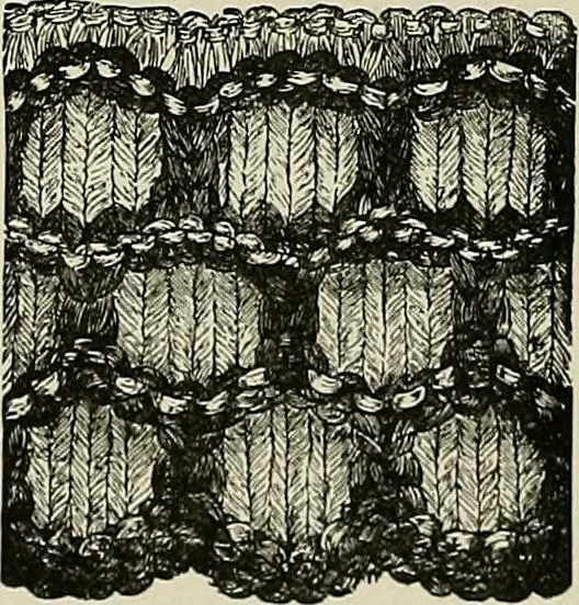 An illustration from The dictionary of needlework : an encyclopædia of artistic, plain, and fancy needlework ..., 1882, leaf 307