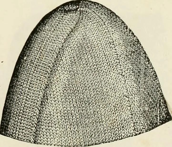 An illustration from The dictionary of needlework : an encyclopædia of artistic, plain, and fancy needlework ..., 1882, leaf 316