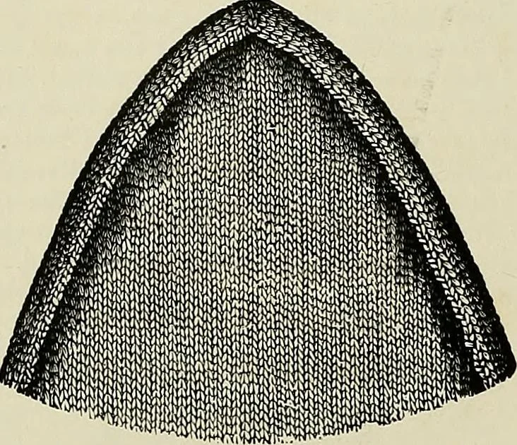 An illustration from The dictionary of needlework : an encyclopædia of artistic, plain, and fancy needlework ..., 1882, leaf 317