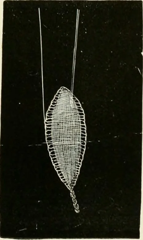 An illustration from The dictionary of needlework : an encyclopædia of artistic, plain, and fancy needlework ..., 1882, leaf 318