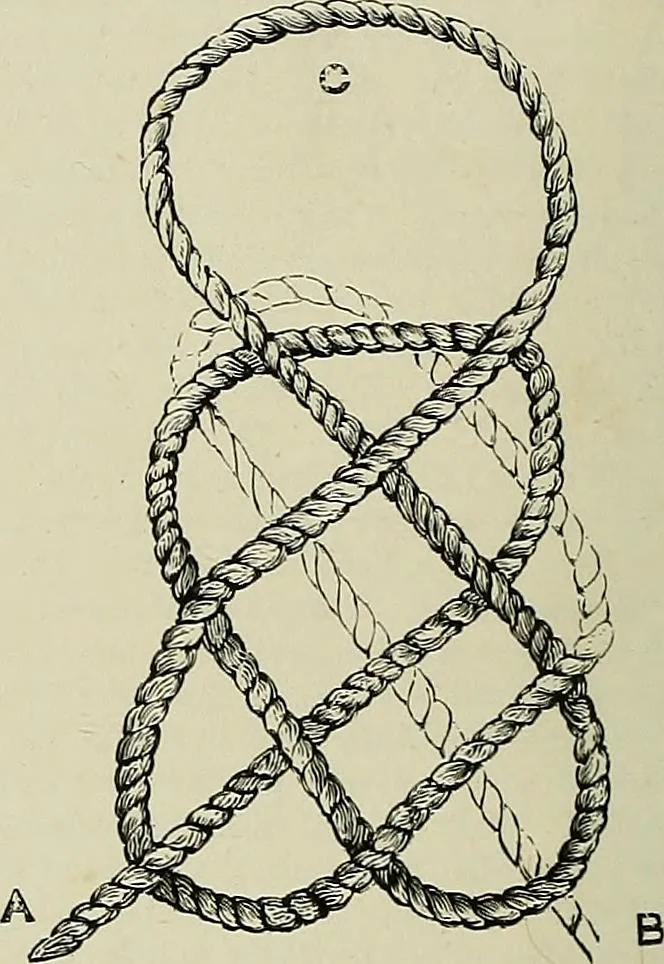 An illustration from The dictionary of needlework : an encyclopædia of artistic, plain, and fancy needlework ..., 1882, leaf 319