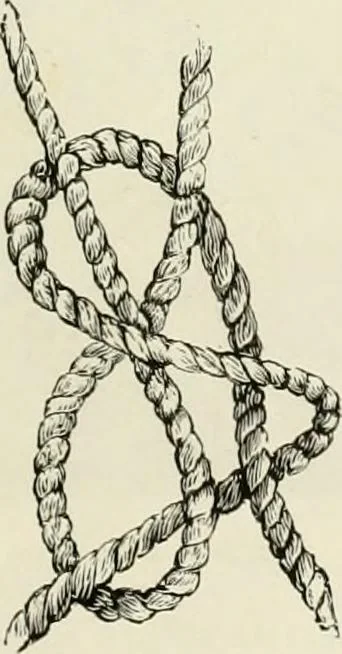 An illustration from The dictionary of needlework : an encyclopædia of artistic, plain, and fancy needlework ..., 1882, leaf 320