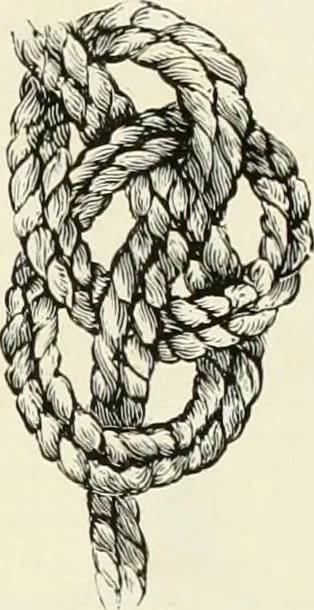 An illustration from The dictionary of needlework : an encyclopædia of artistic, plain, and fancy needlework ..., 1882, leaf 320