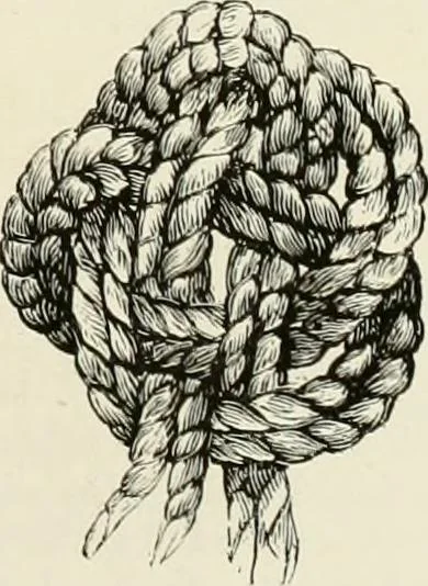 An illustration from The dictionary of needlework : an encyclopædia of artistic, plain, and fancy needlework ..., 1882, leaf 320