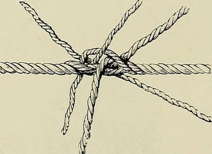 An illustration from The dictionary of needlework : an encyclopædia of artistic, plain, and fancy needlework ..., 1882, leaf 321