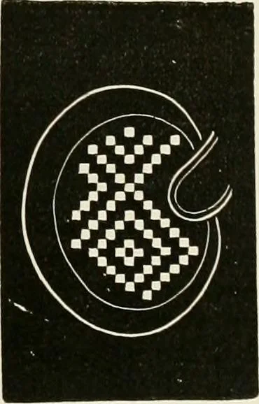 An illustration from The dictionary of needlework : an encyclopædia of artistic, plain, and fancy needlework ..., 1882, leaf 332