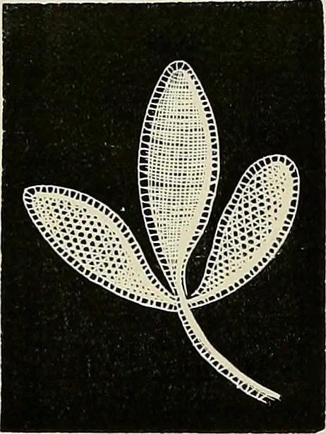 An illustration from The dictionary of needlework : an encyclopædia of artistic, plain, and fancy needlework ..., 1882, leaf 335