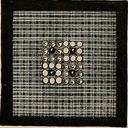 An illustration from The dictionary of needlework : an encyclopædia of artistic, plain, and fancy needlework ..., 1882, leaf 35