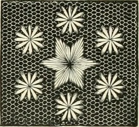 An illustration from The dictionary of needlework : an encyclopædia of artistic, plain, and fancy needlework ..., 1882, leaf 366