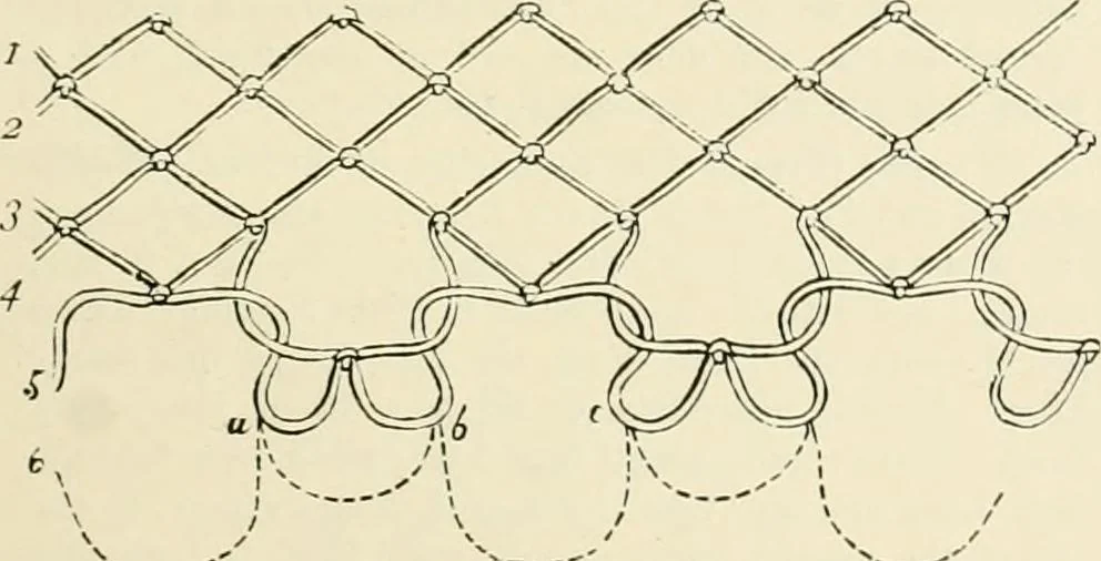 An illustration from The dictionary of needlework : an encyclopædia of artistic, plain, and fancy needlework ..., 1882, leaf 374