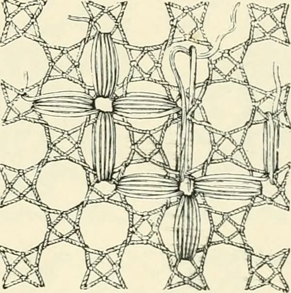 An illustration from The dictionary of needlework : an encyclopædia of artistic, plain, and fancy needlework ..., 1882, leaf 374