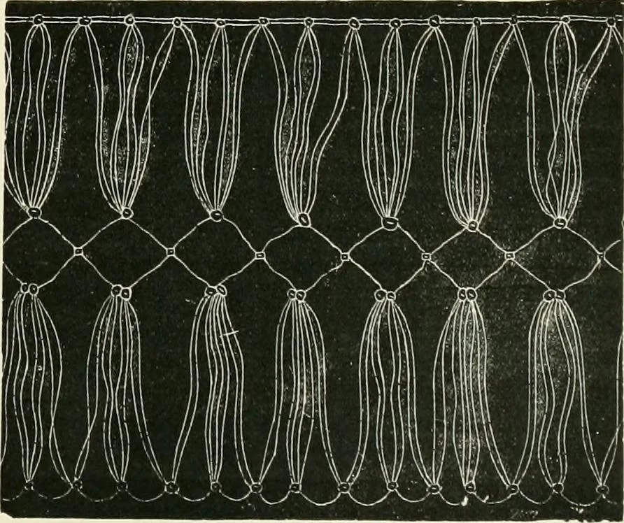 An illustration from The dictionary of needlework : an encyclopædia of artistic, plain, and fancy needlework ..., 1882, leaf 376