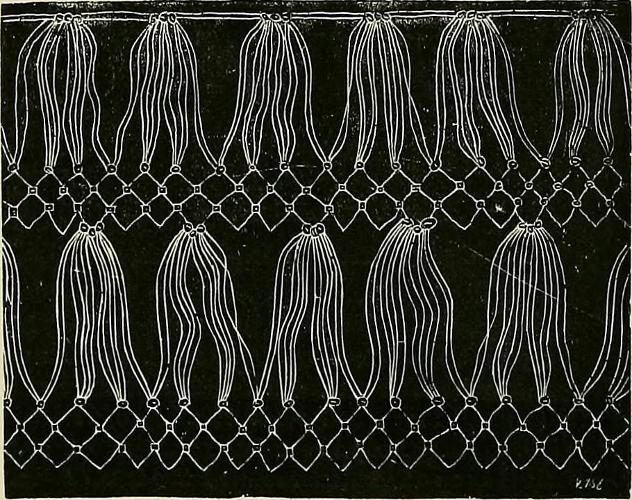An illustration from The dictionary of needlework : an encyclopædia of artistic, plain, and fancy needlework ..., 1882, leaf 377