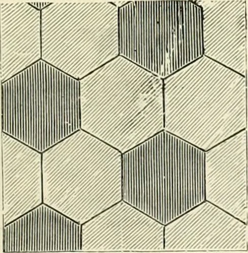 An illustration from The dictionary of needlework : an encyclopædia of artistic, plain, and fancy needlework ..., 1882, leaf 392